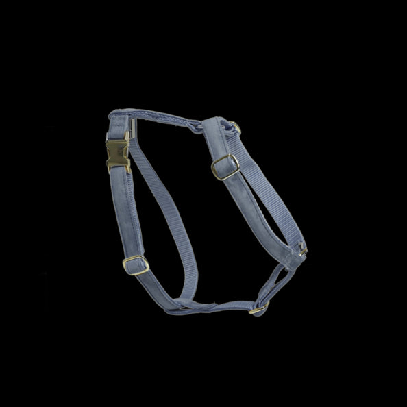 Harnais pour chien Velvet - Kentucky