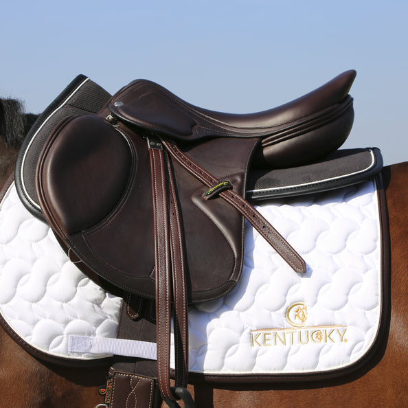 Anatomic Absorb shock absorber - Kentucky