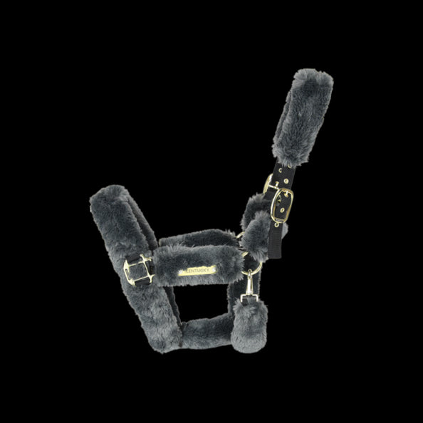 Sheep transport halter - Kentucky