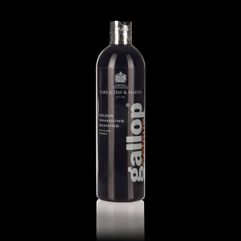 Shampoing Gallop Color - Carr & Day & Martin LTD