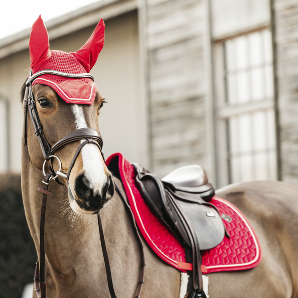 SM SunniMix Tapis de selle matelassé anglais pour équitation Rouge SM SunniMix Tapis de selle matelassé anglais pour équitation Rouge