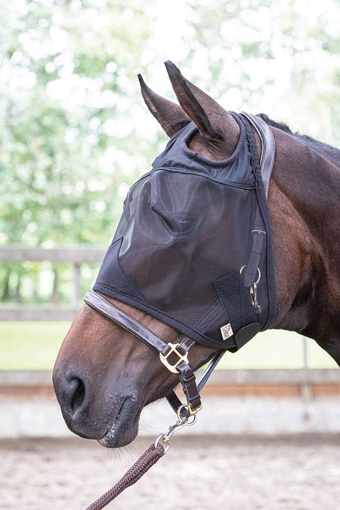 Flyshield fly mask - Harry&