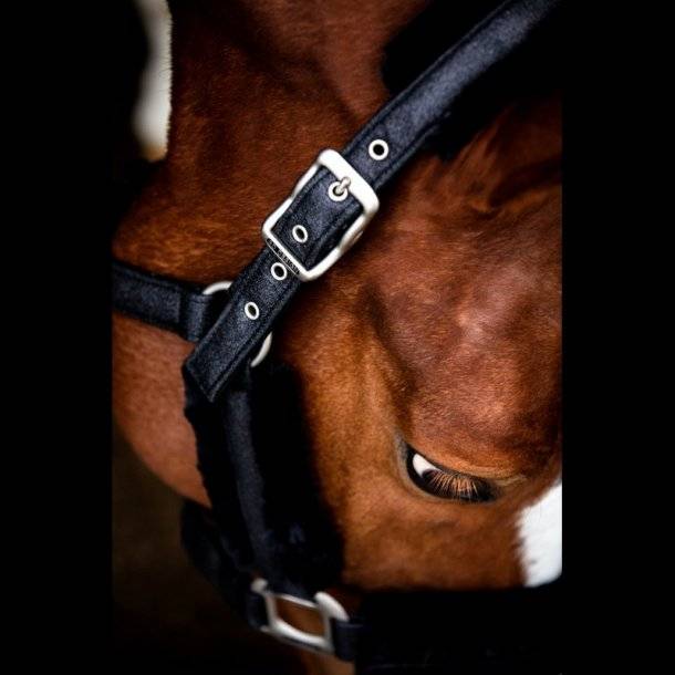 Hollywood Glamorous SD DESIGN Halter - Midnight Sparkle