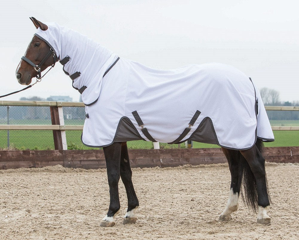 Chemise anti-mouches Harry&