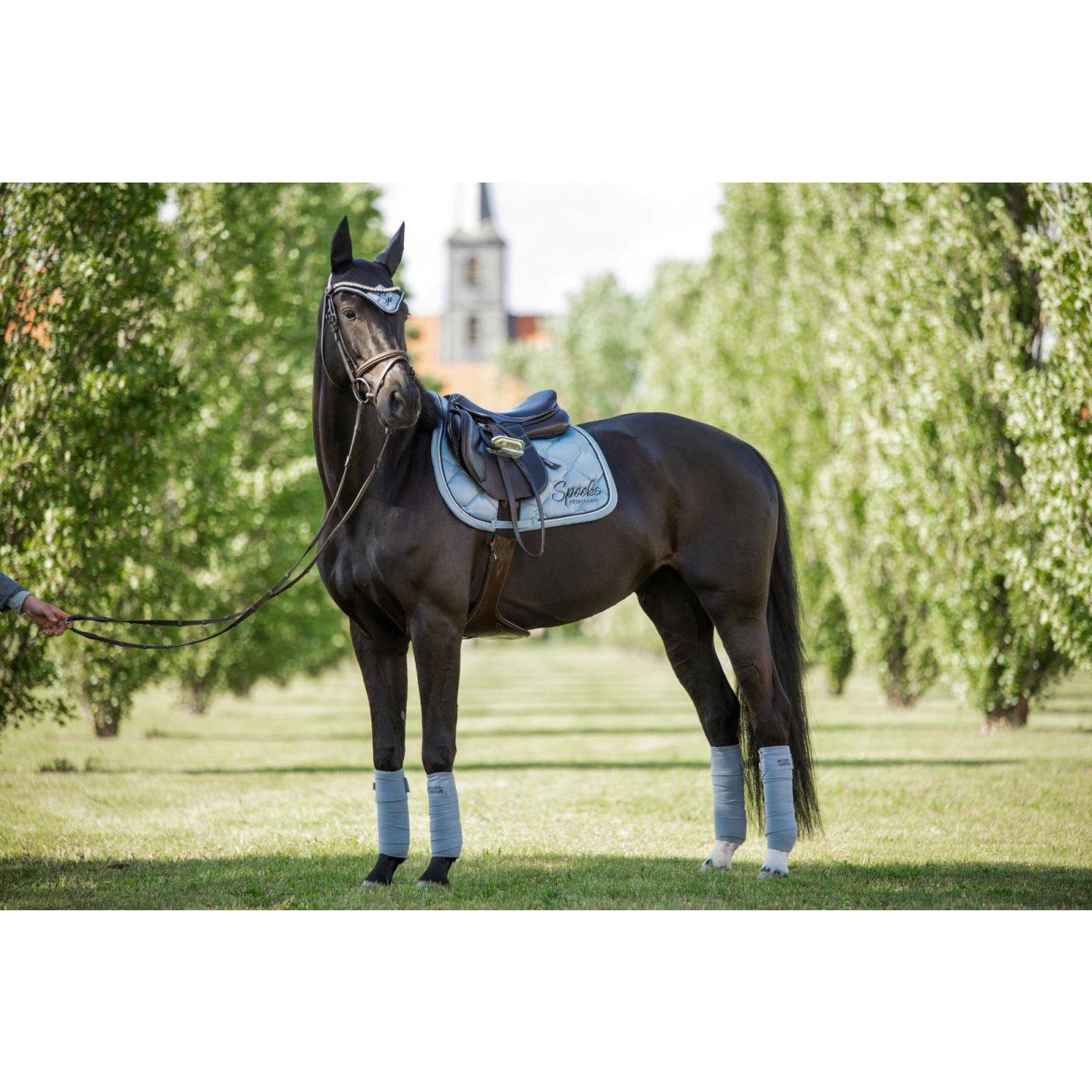 Tapis Gloria - Spooks