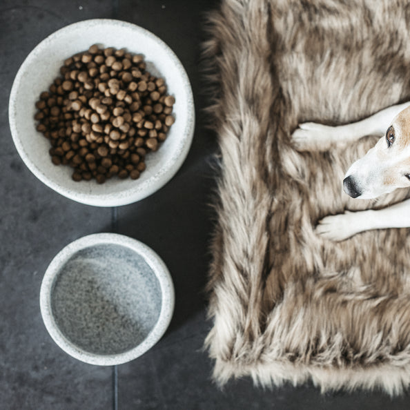 Bol pour chien Granit - Kentucky