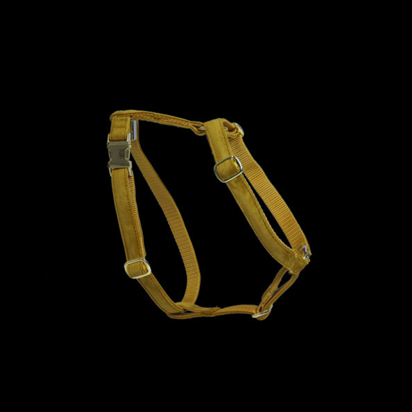 Harnais pour chien Velvet - Kentucky