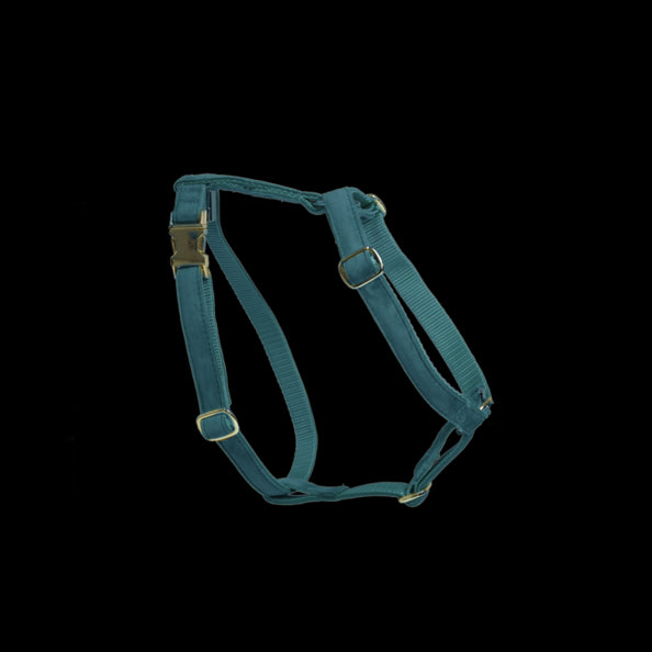 Harnais pour chien Velvet - Kentucky