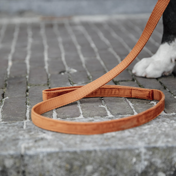 Laisse pour chien Velvet 120 cm - Kentucky