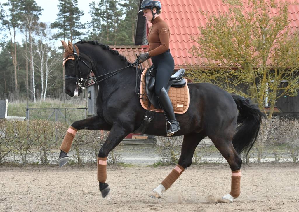 Polo Baselayer Rocky Road - Equito