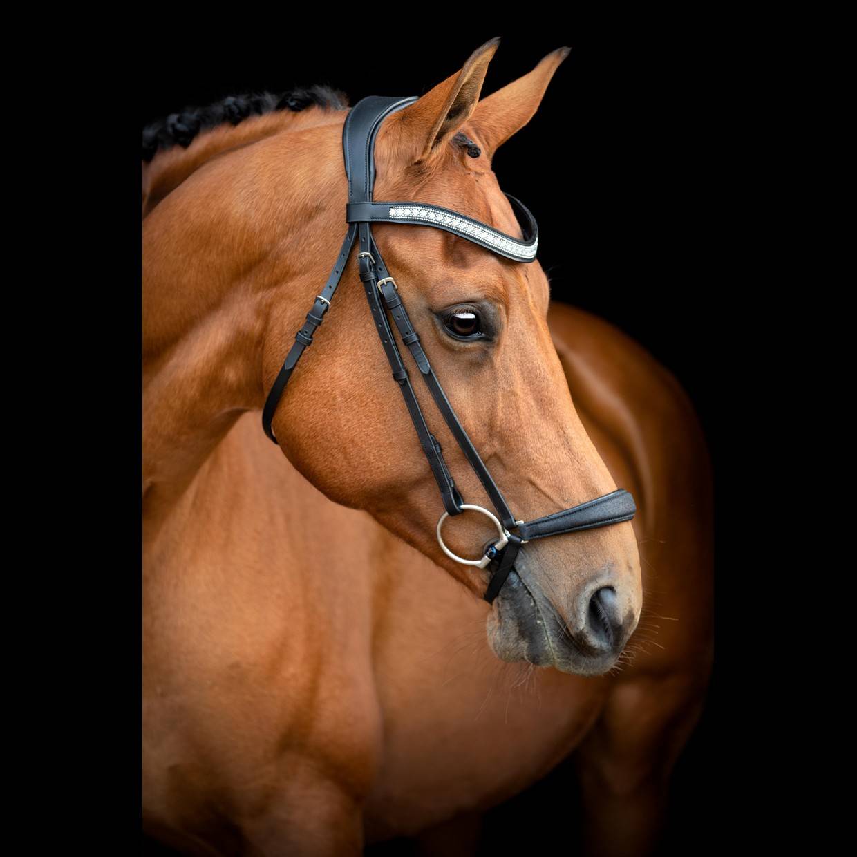 Muserolle allemande noir paillettée Hollywood Glamorous - SD Design