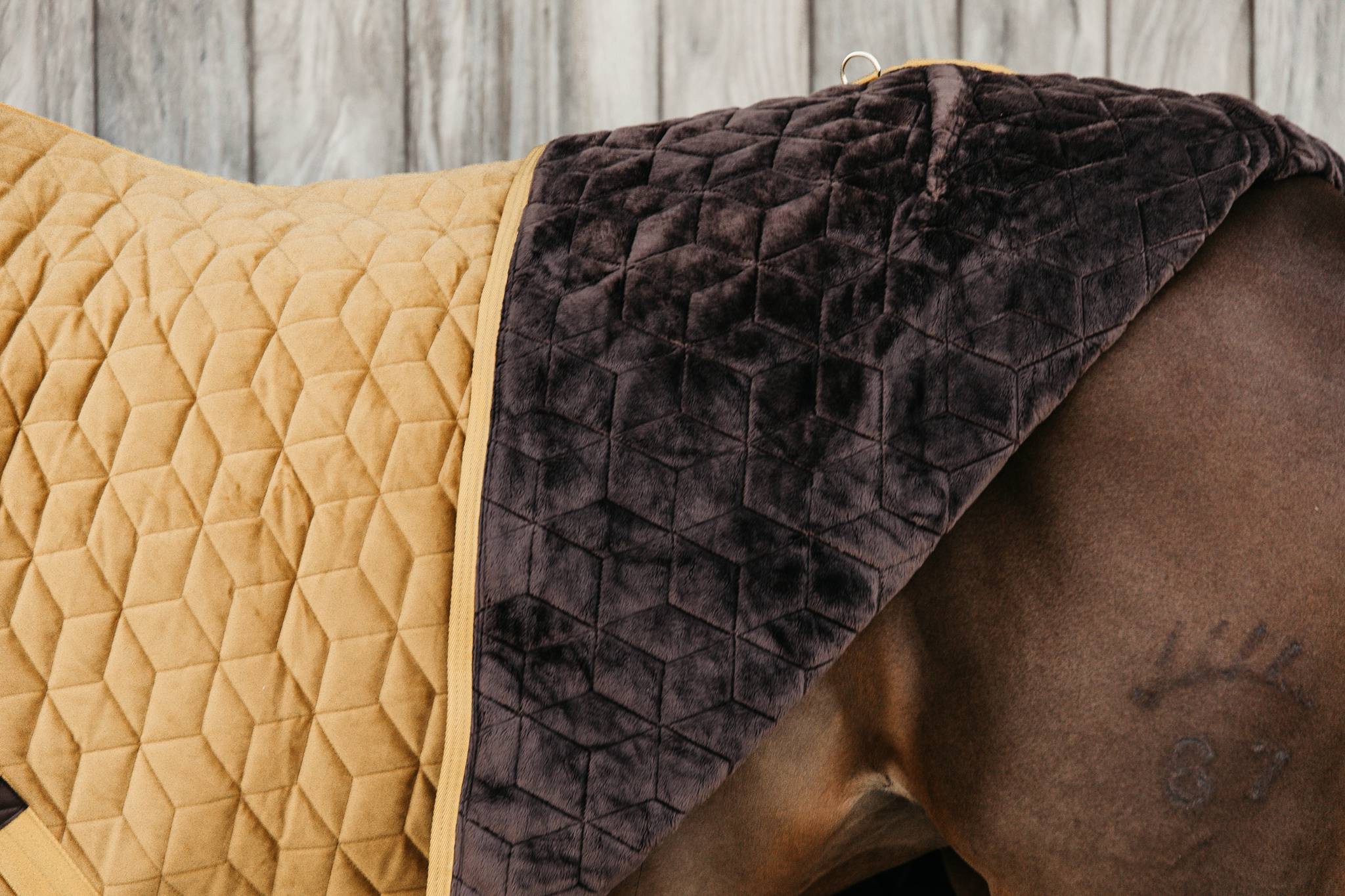 Velvet Presentation Cover 160g Kentucky - Mustard