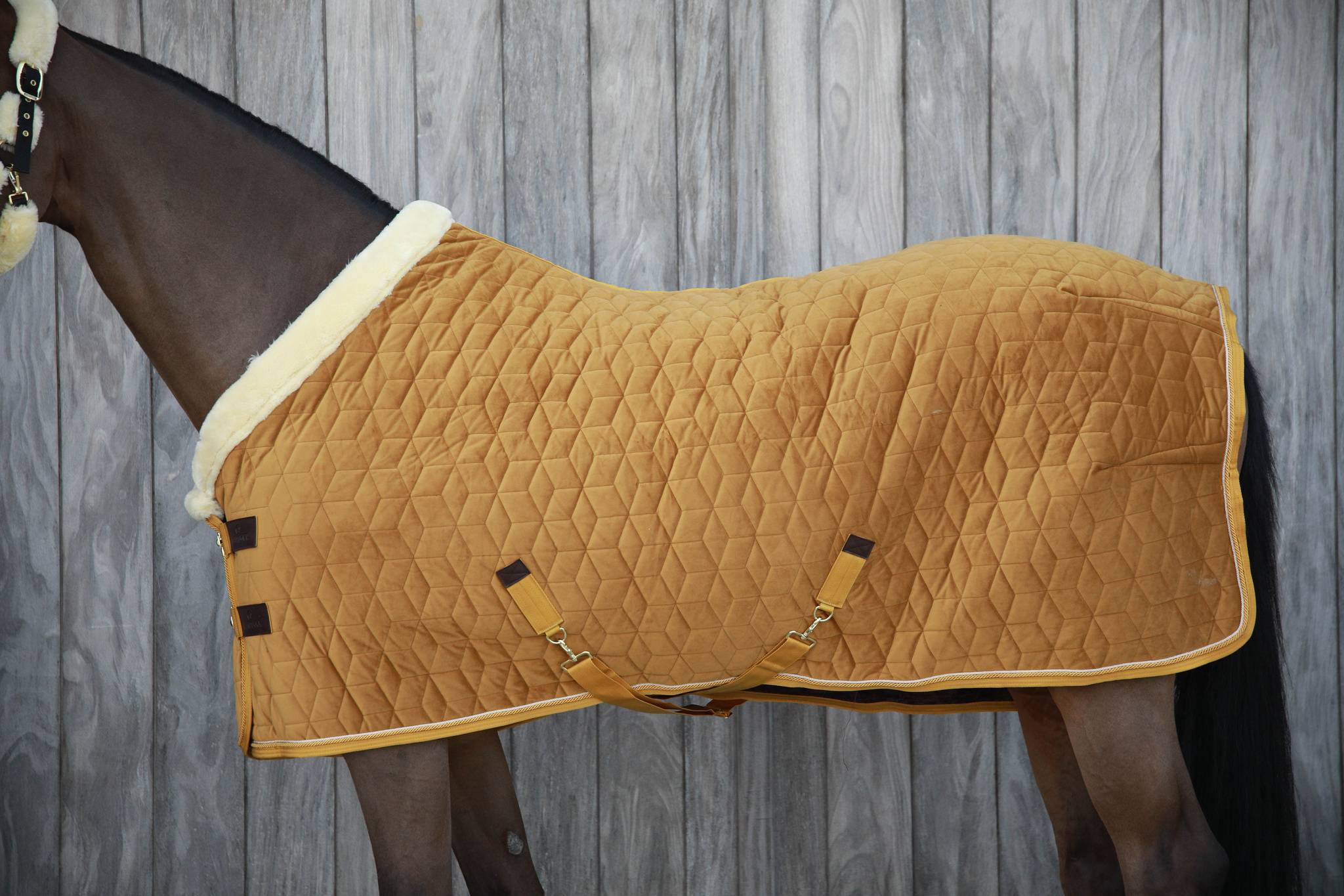 Velvet Presentation Cover 160g Kentucky - Mustard
