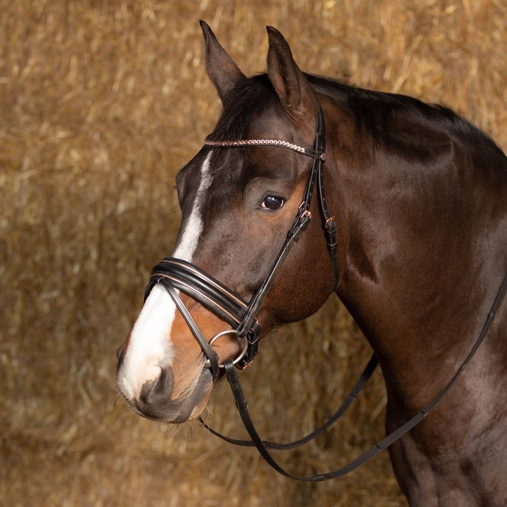 Harry's Horse Bridon Anatomique Rose Gold Avec Pierres - Noir Et Or Rose, En Cuir, Pour Cheval, Confort Et Esthétique