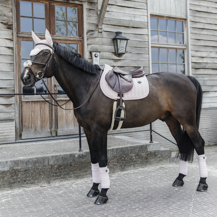 Bandes de polo Velvet Pearl - Kentucky