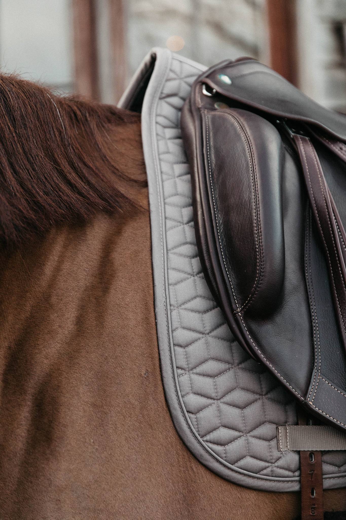 Classic saddle pad - Kentucky