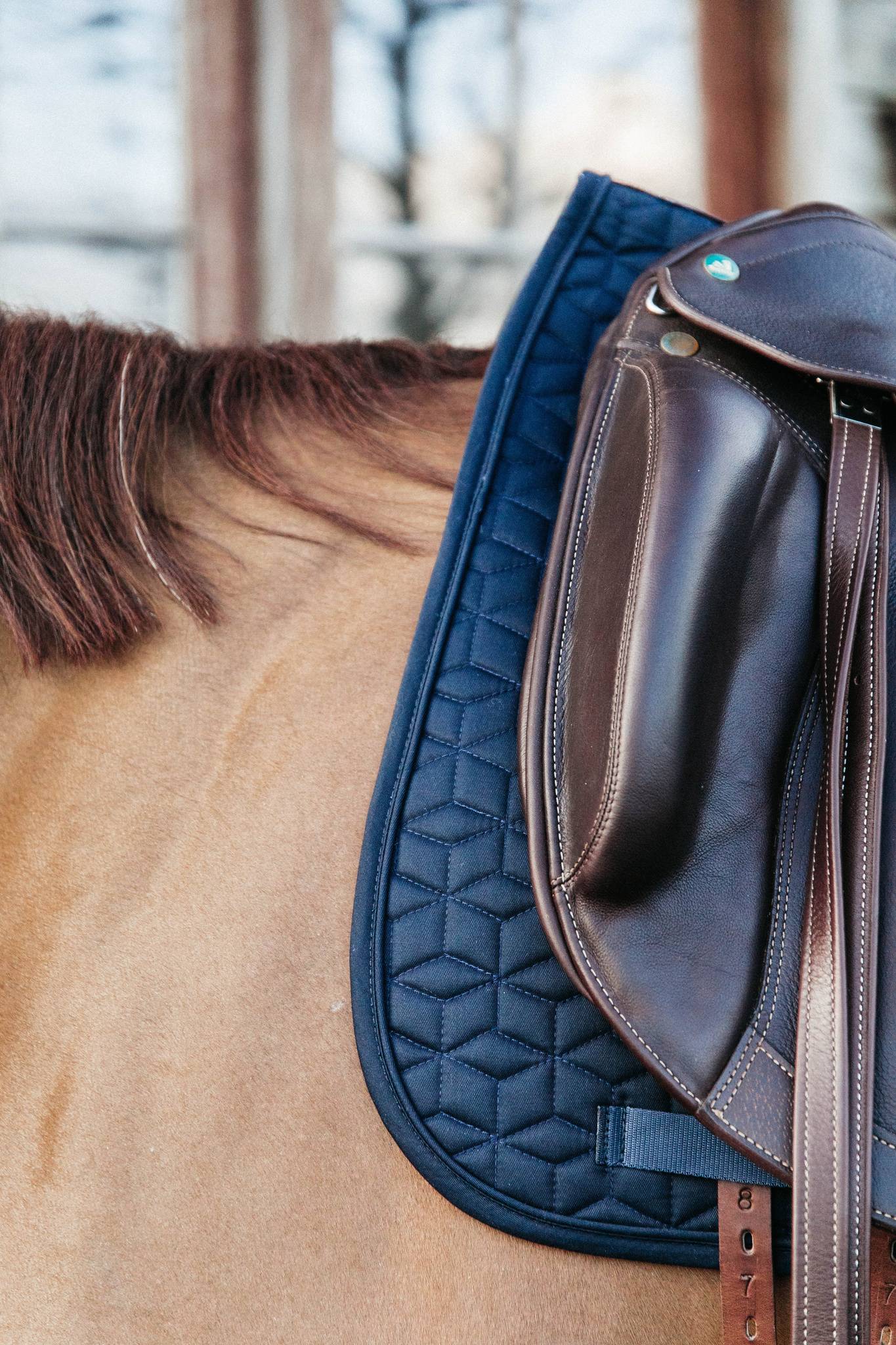 Classic saddle pad - Kentucky