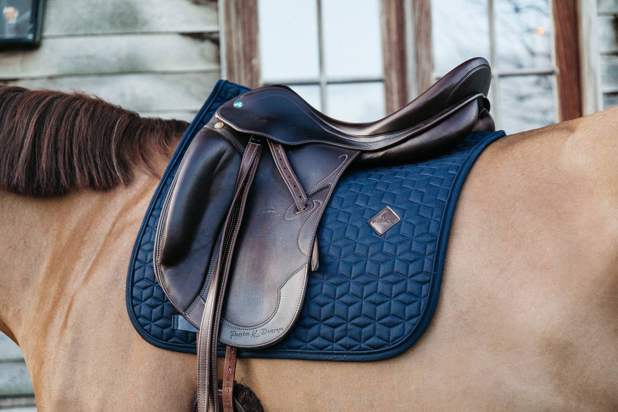 Classic saddle pad - Kentucky