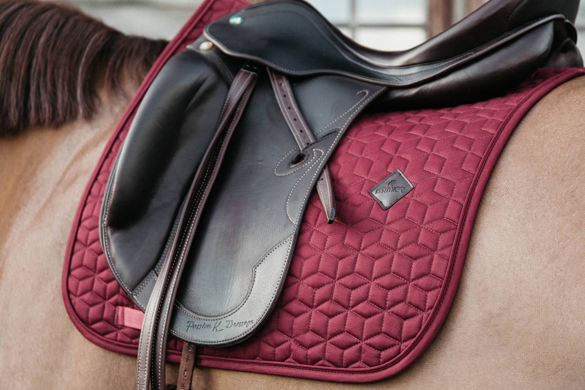 Classic saddle pad - Kentucky