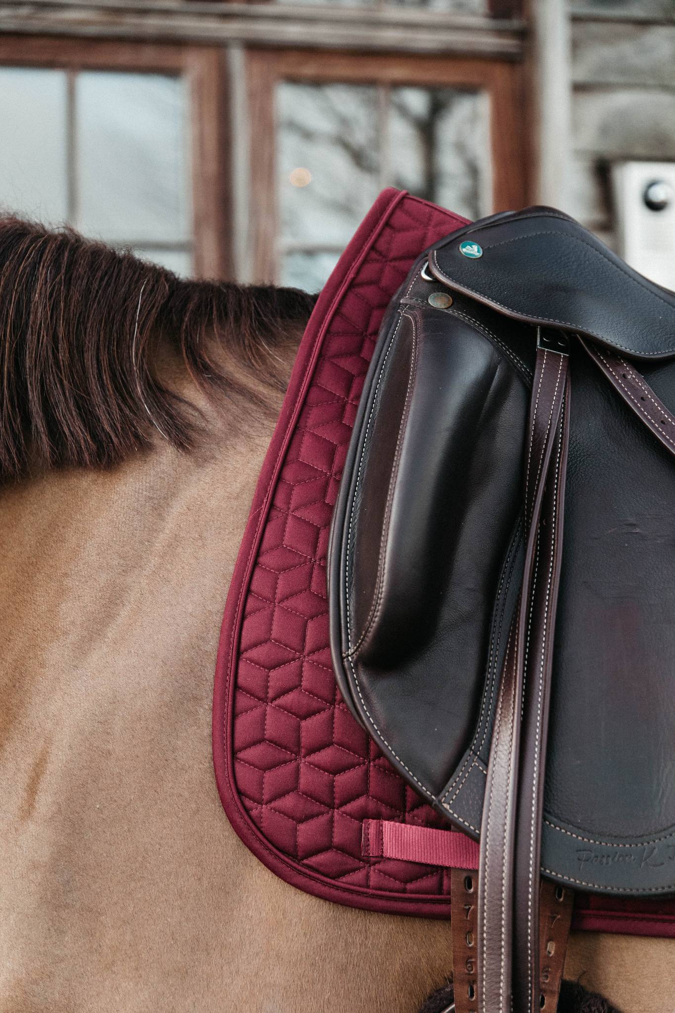 Classic saddle pad - Kentucky