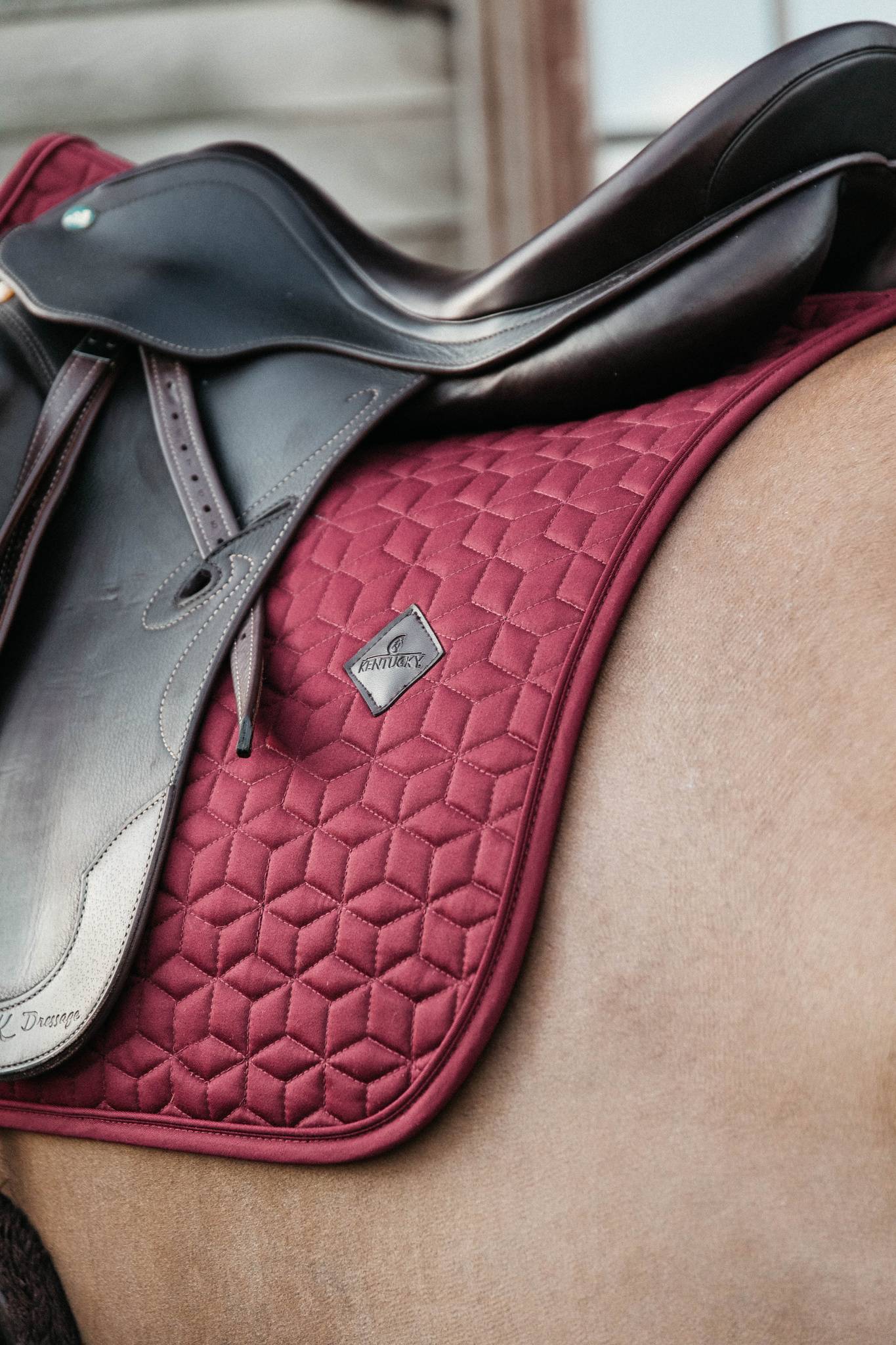 Classic saddle pad - Kentucky