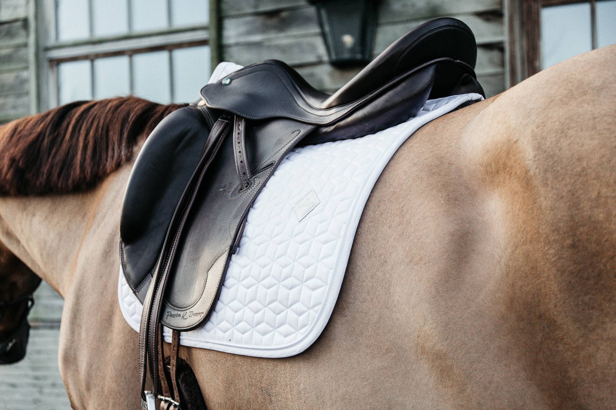 Classic saddle pad - Kentucky