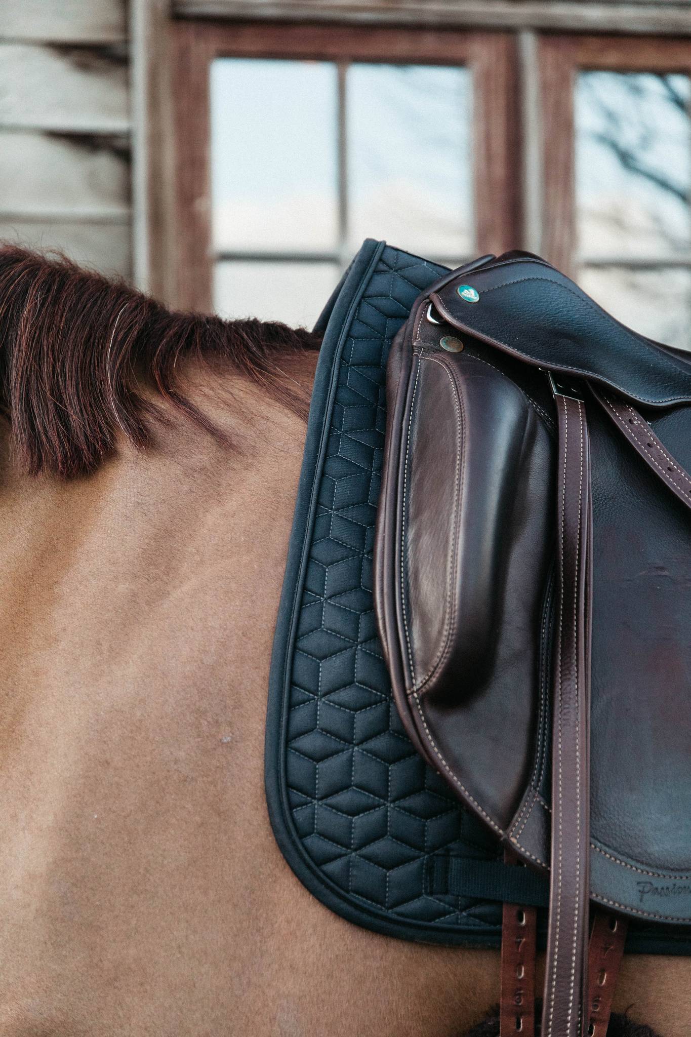 Classic saddle pad - Kentucky