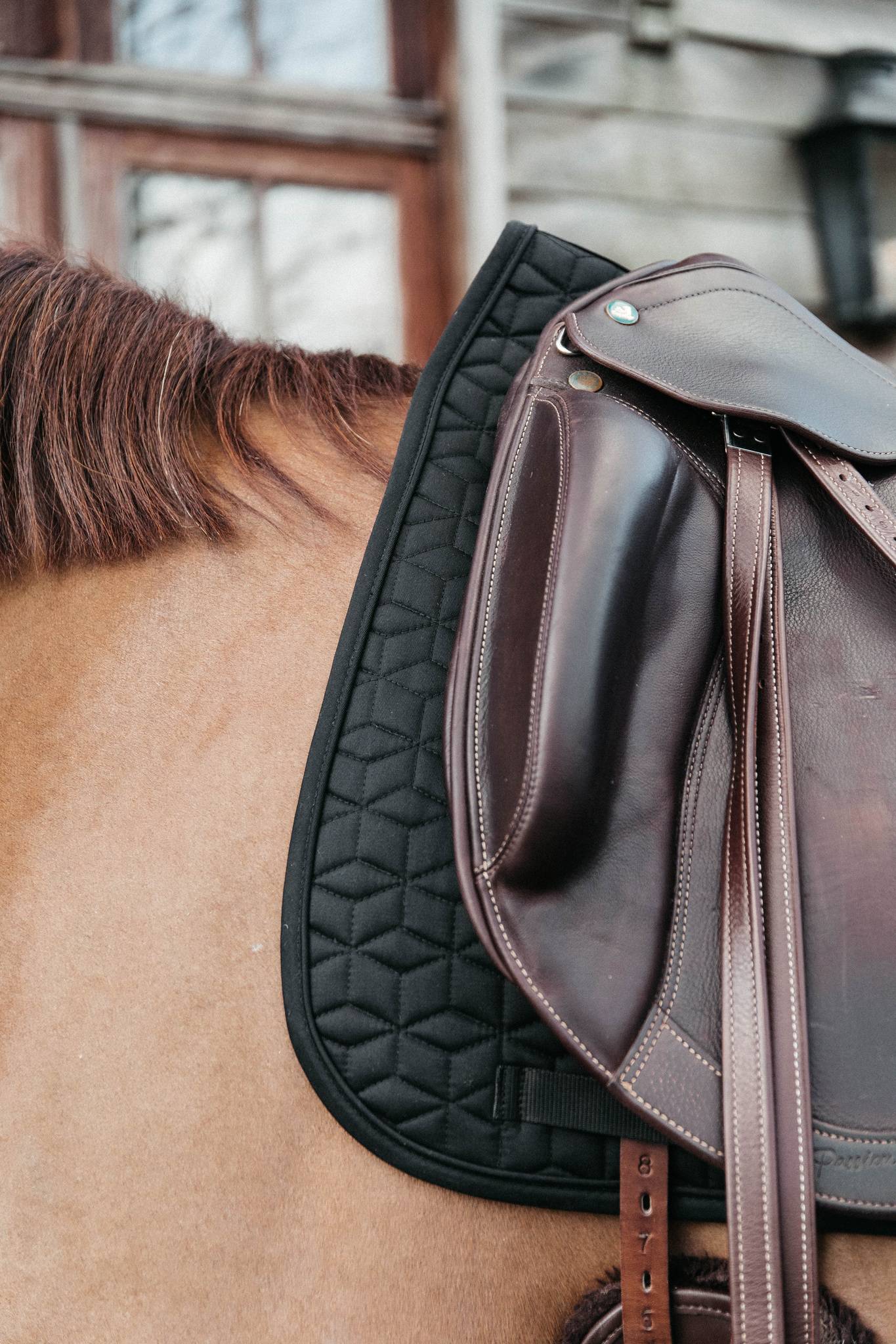Classic saddle pad - Kentucky