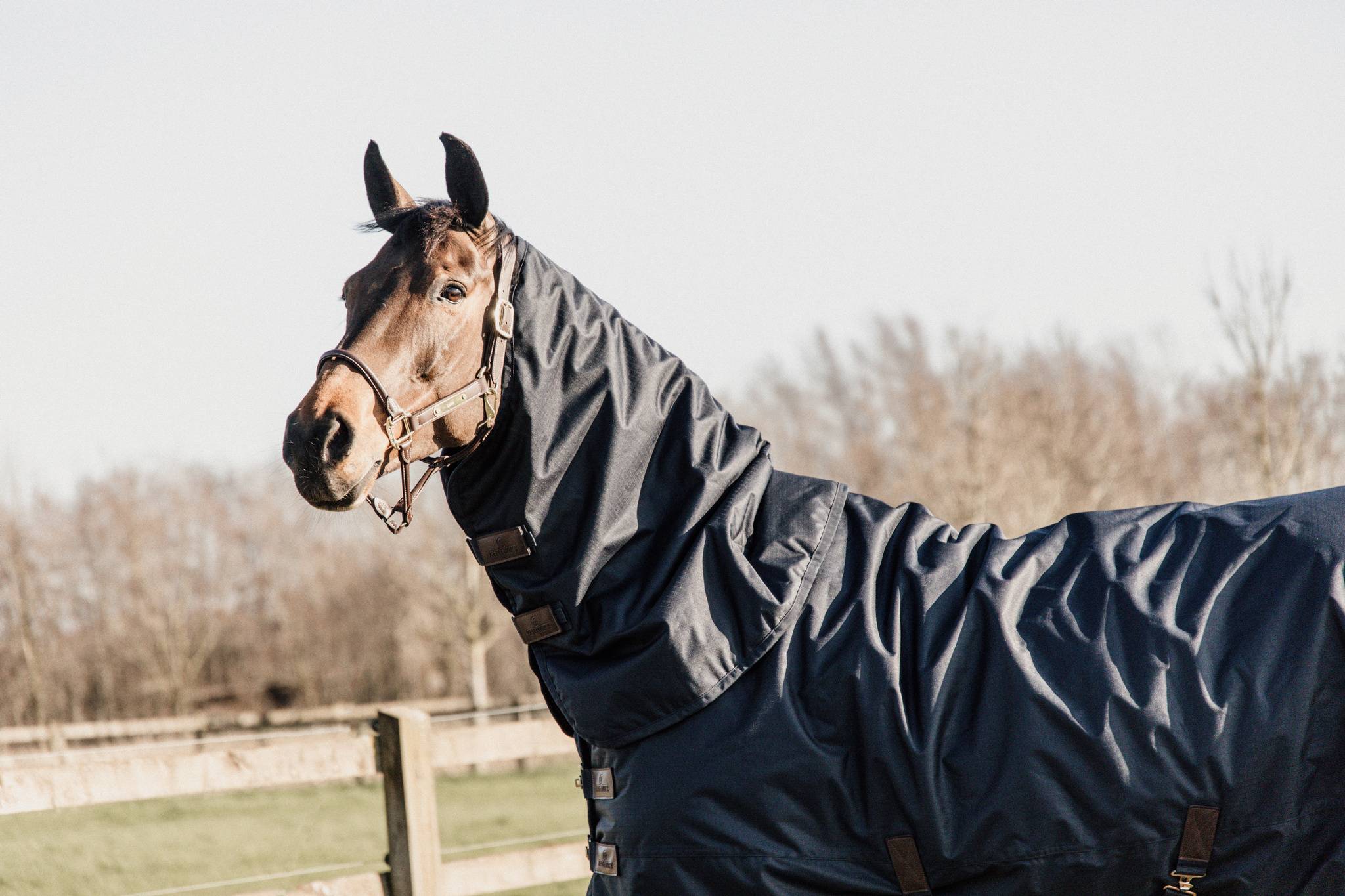 All Weather Waterproof Classic 0g Neck Cover - Kentucky