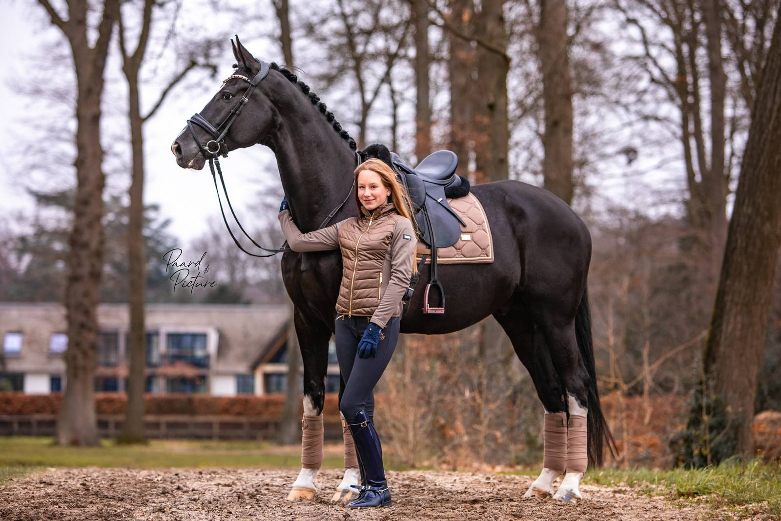 Bandes de polo Champagne - Equestrian Stockholm