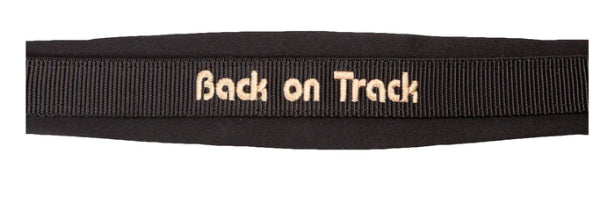 Licol Werano - Back On Track