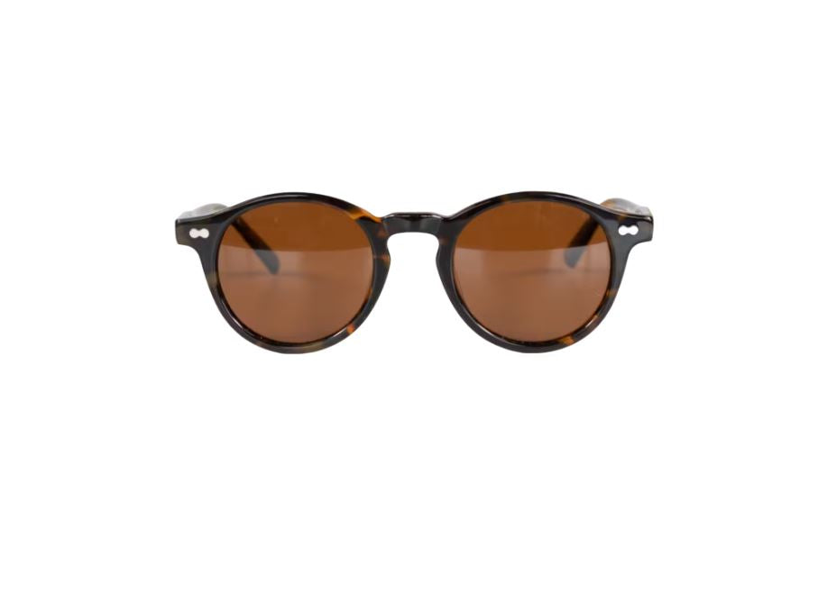 Lunettes de soleil Alvin - Kentucky