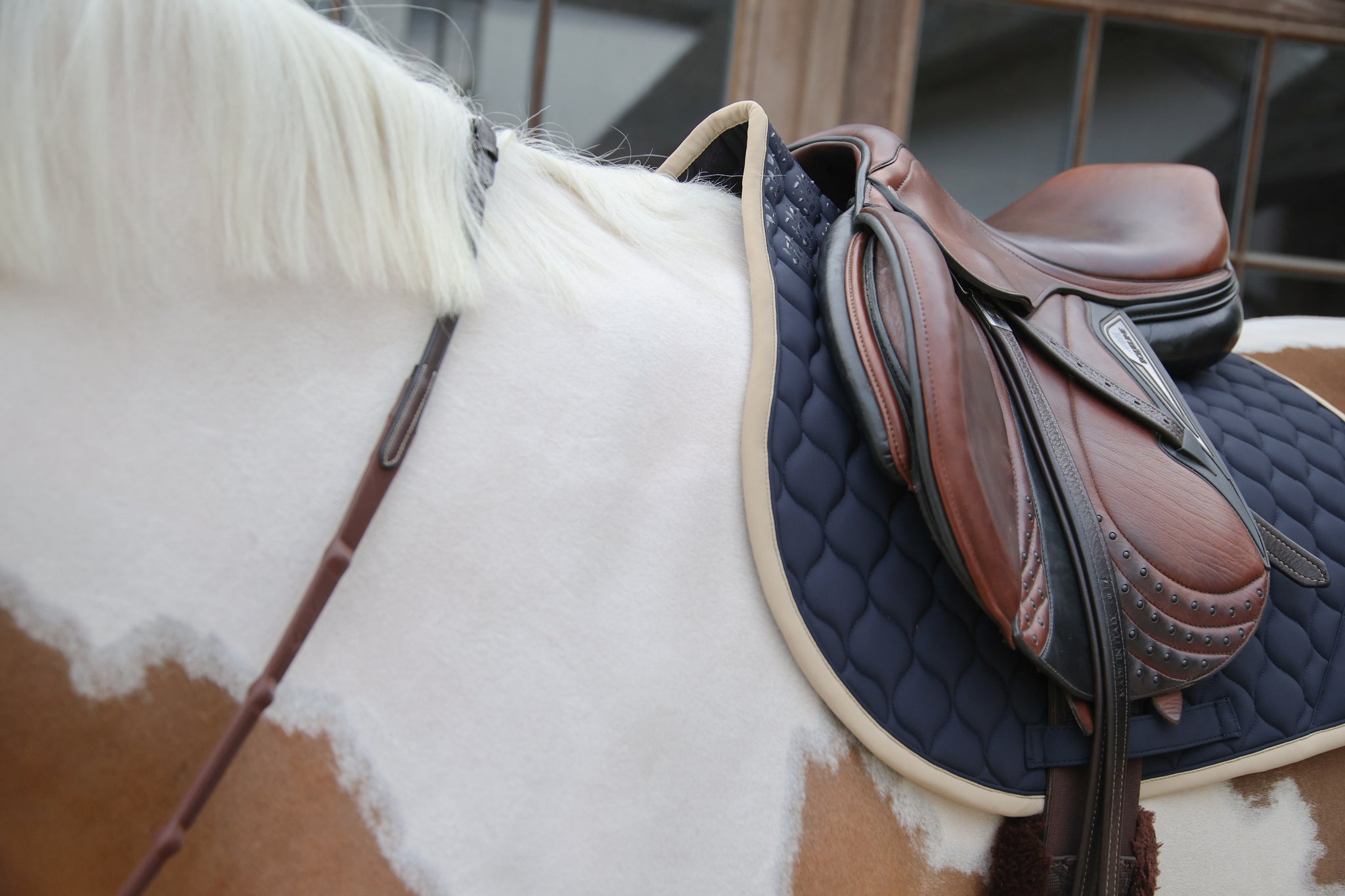 Tapis de selle Softshell Onion Quilt MIXTE - Kentucky