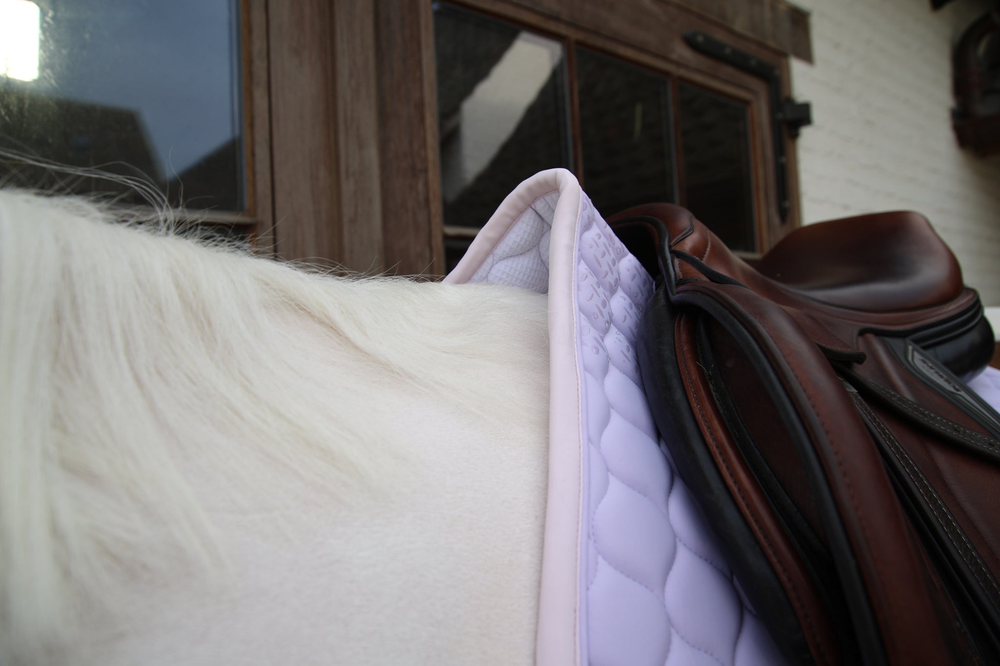 Tapis de selle Softshell Onion Quilt MIXTE - Kentucky