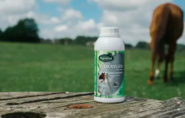 Oxxygen, respiratory comfort - Ravenna