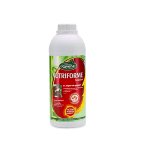 Nutriforme - Ravène