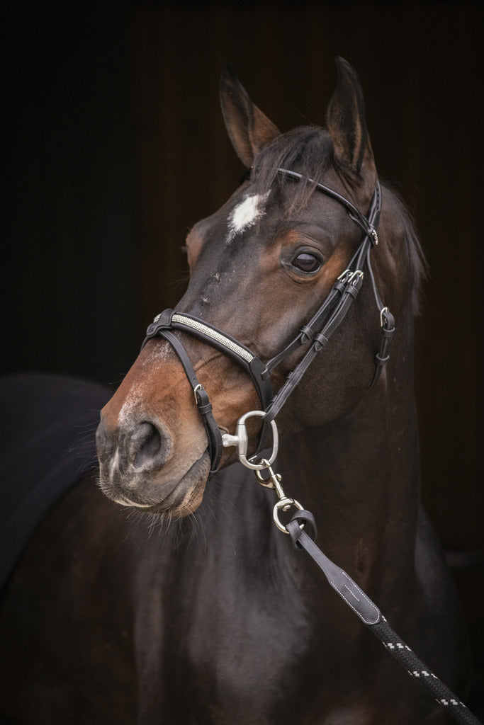 Bridon Symphonie - PENELOPE COLLECTION