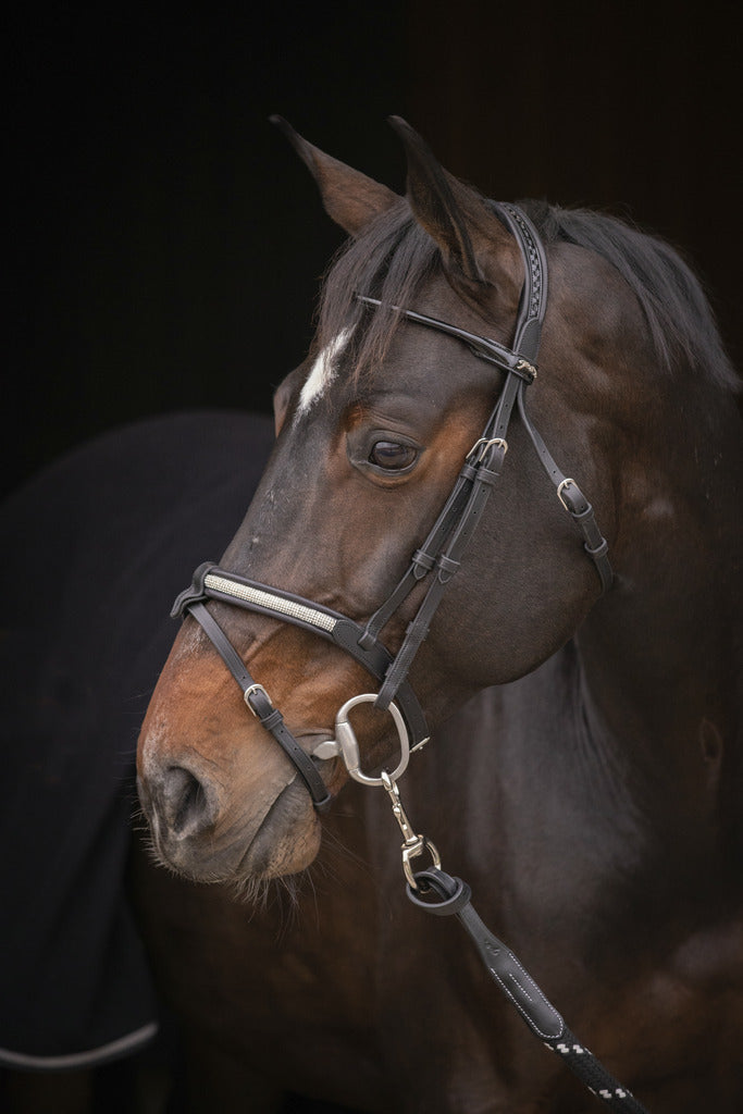 Bridon Symphonie - PENELOPE COLLECTION