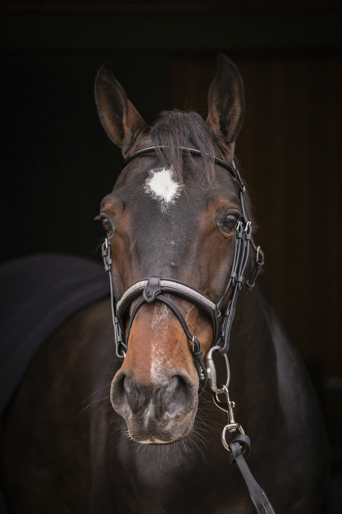 Bridon Symphonie - PENELOPE COLLECTION