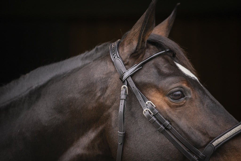 Bridon Symphonie - PENELOPE COLLECTION