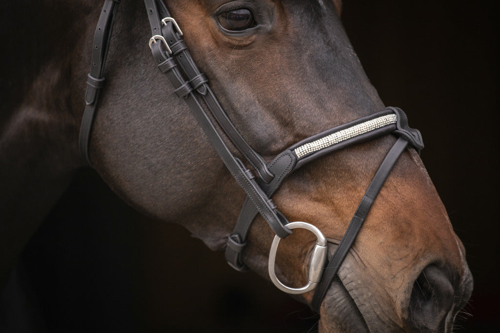 Bridon Symphonie - PENELOPE COLLECTION