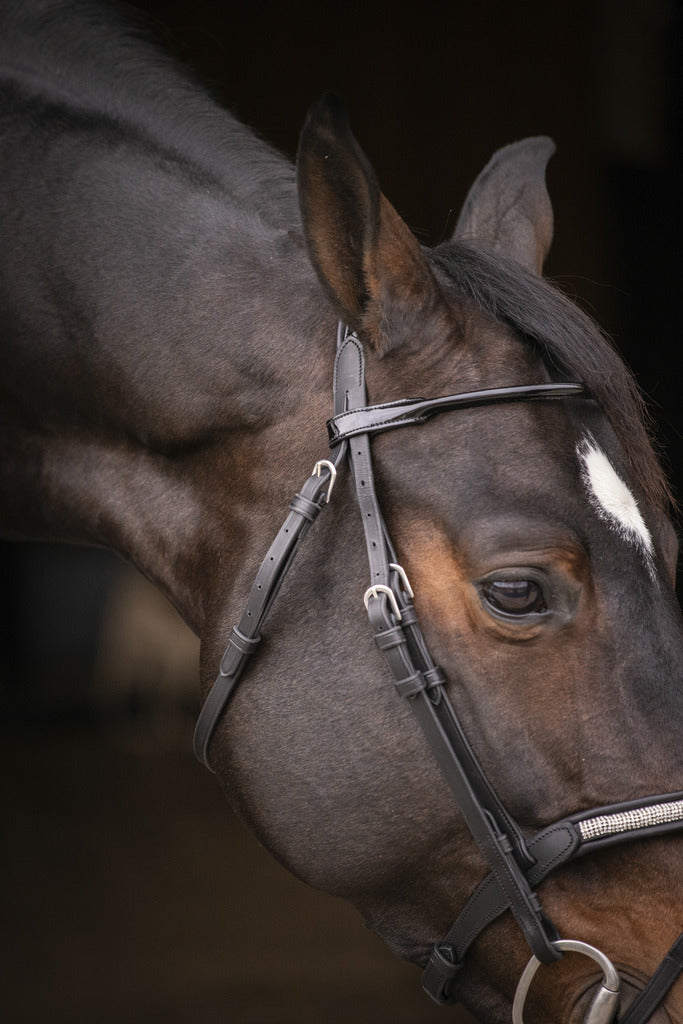 Bridon Symphonie - PENELOPE COLLECTION