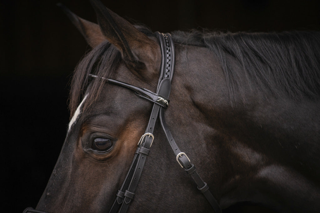 Bridon Symphonie - PENELOPE COLLECTION