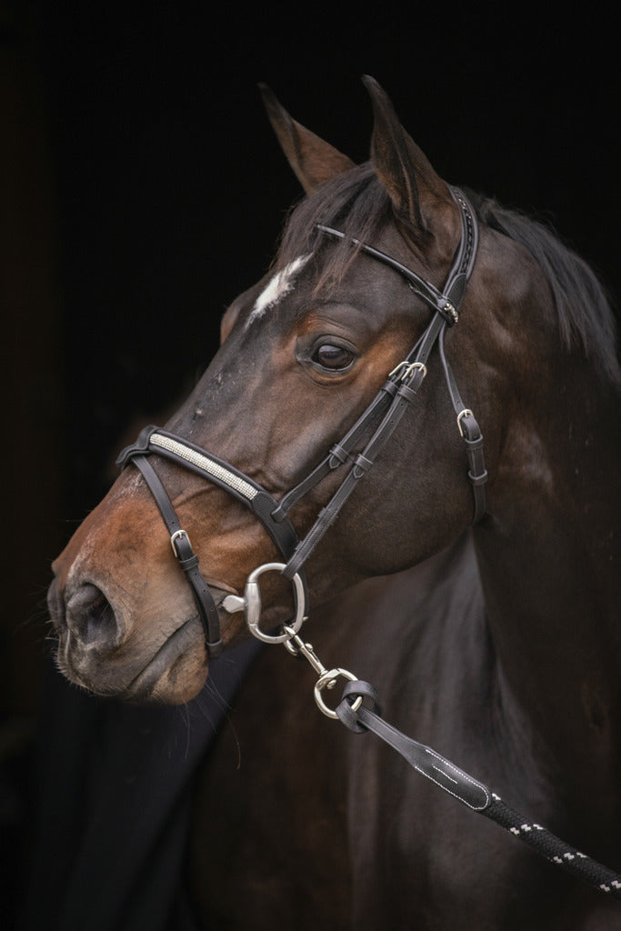 Bridon Symphonie - PENELOPE COLLECTION