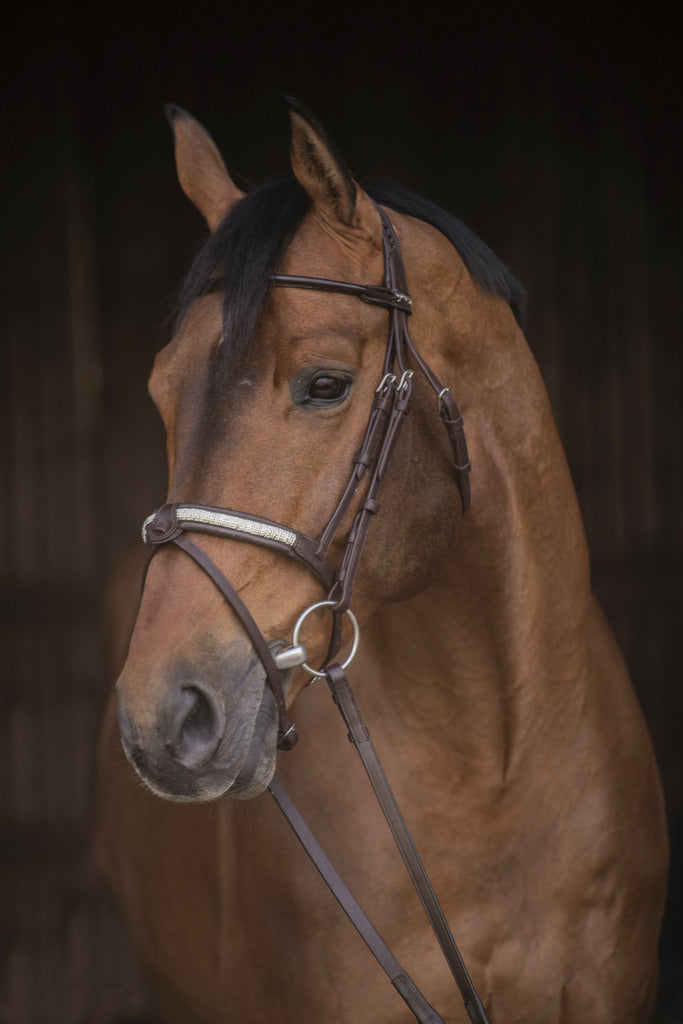 Bridon Symphonie - PENELOPE COLLECTION