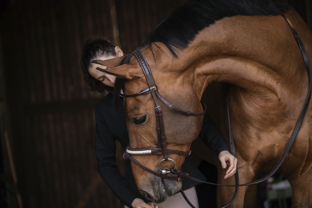 Bridon Symphonie - PENELOPE COLLECTION