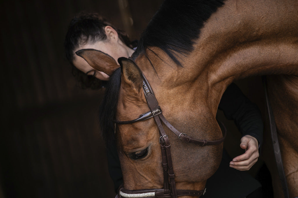 Bridon Symphonie - PENELOPE COLLECTION