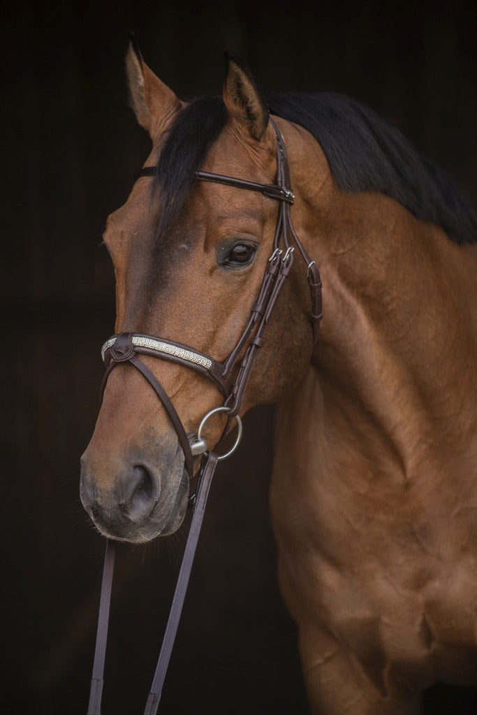 Bridon Symphonie - PENELOPE COLLECTION