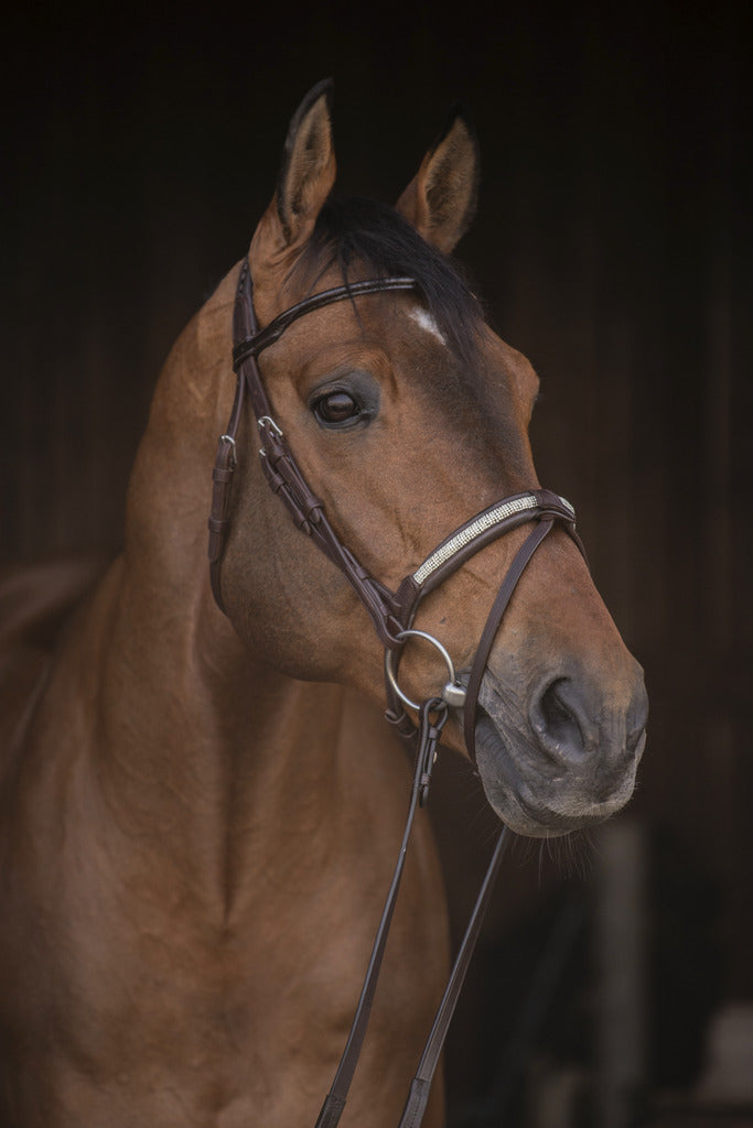 Bridon Symphonie - PENELOPE COLLECTION