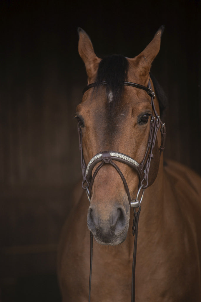 Bridon Symphonie - PENELOPE COLLECTION